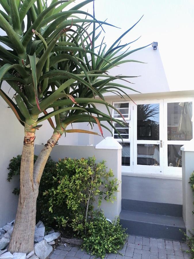 بورت اليزابيث Conifer Beach House المظهر الخارجي الصورة