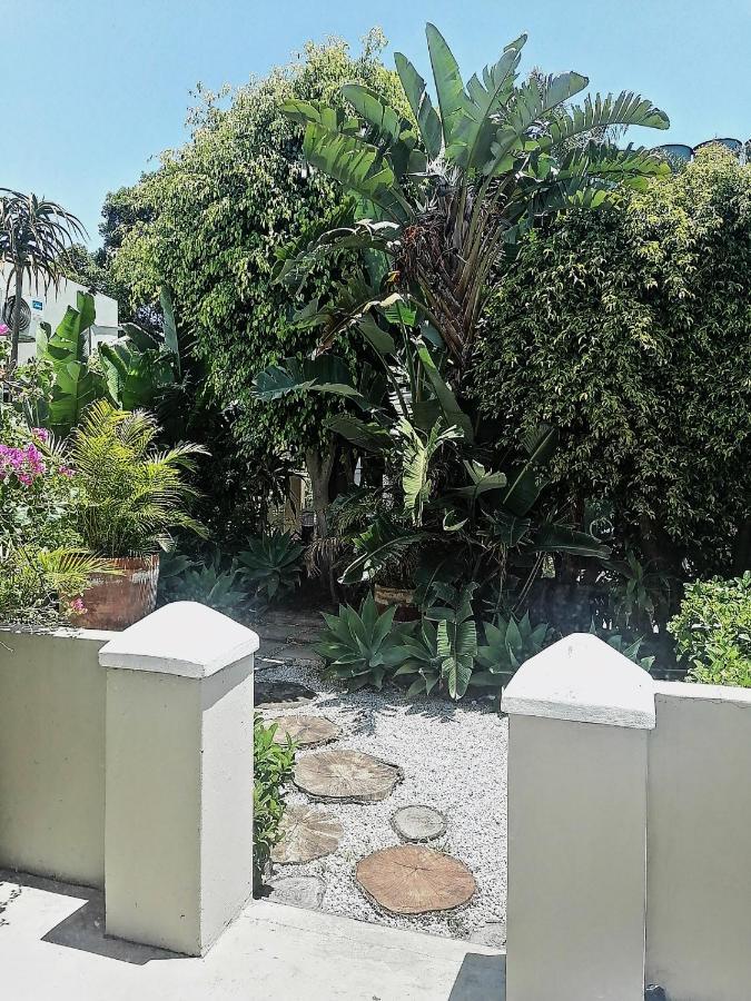 بورت اليزابيث Conifer Beach House المظهر الخارجي الصورة