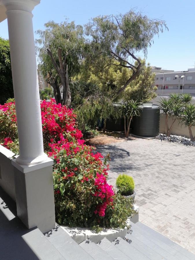 بورت اليزابيث Conifer Beach House المظهر الخارجي الصورة