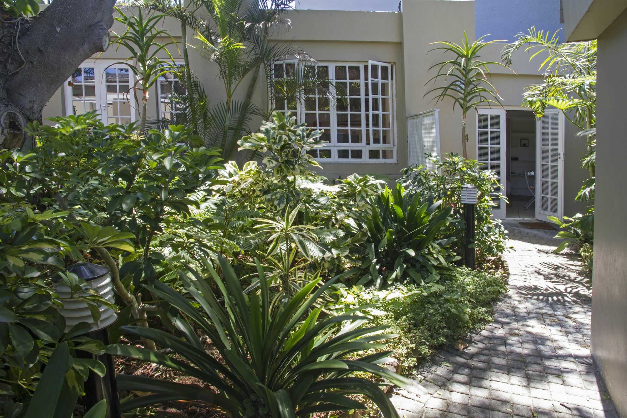 بورت اليزابيث Conifer Beach House المظهر الخارجي الصورة