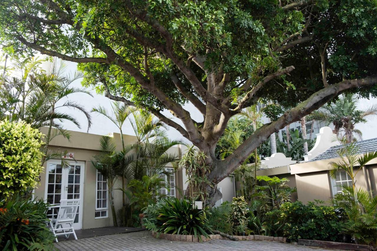 بورت اليزابيث Conifer Beach House المظهر الخارجي الصورة